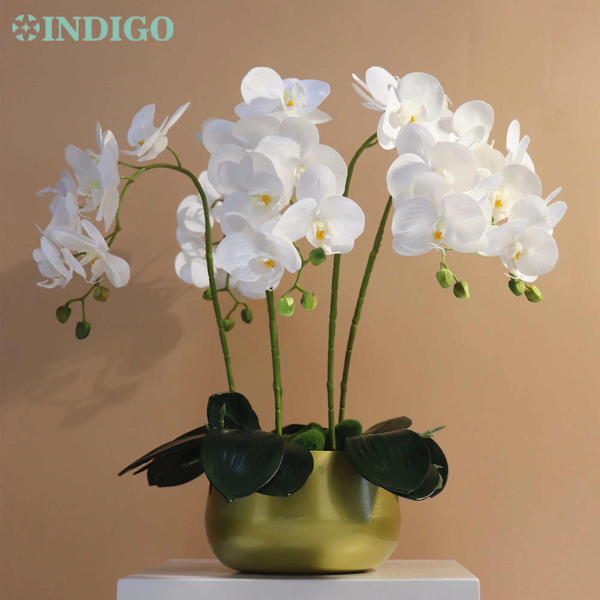 

INDIGO-White Orchid Flower Arrangment, 5 Orchid + 3 Leaf + Moss + Pot Christmas Office Decoration, Centerpiece, 1 Set