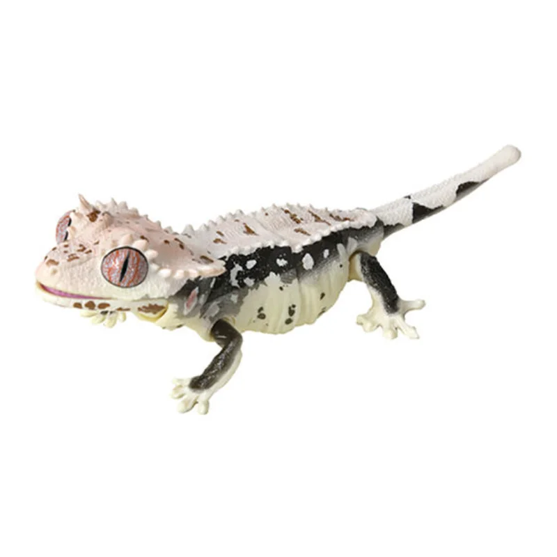 بانداي الأصلي غاشابون الموسوعة البيولوجية ليوبارد أبو بريص متوج أبو بريص الشكل أنيمي الحيوان الشكل لعبة الكبسولات ديكور مكتب