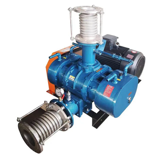 High Pressure Fish Shrimp Aquaculture Farms Aerator DC Electric Root Air Blower Pump Cast Iron Blades Factory Supplier Price