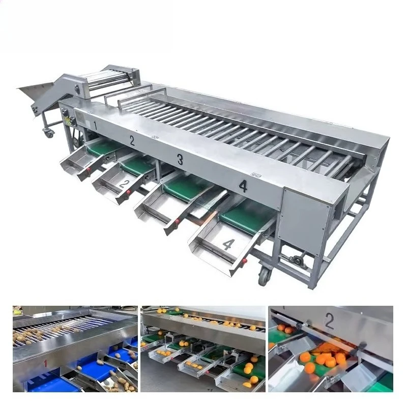 Anti-Collision Pad Design Onion Grading Machine Onion Sorter Fruit Sizer Roller-Type Fruit &Vegetable Tomato Sorting Machine