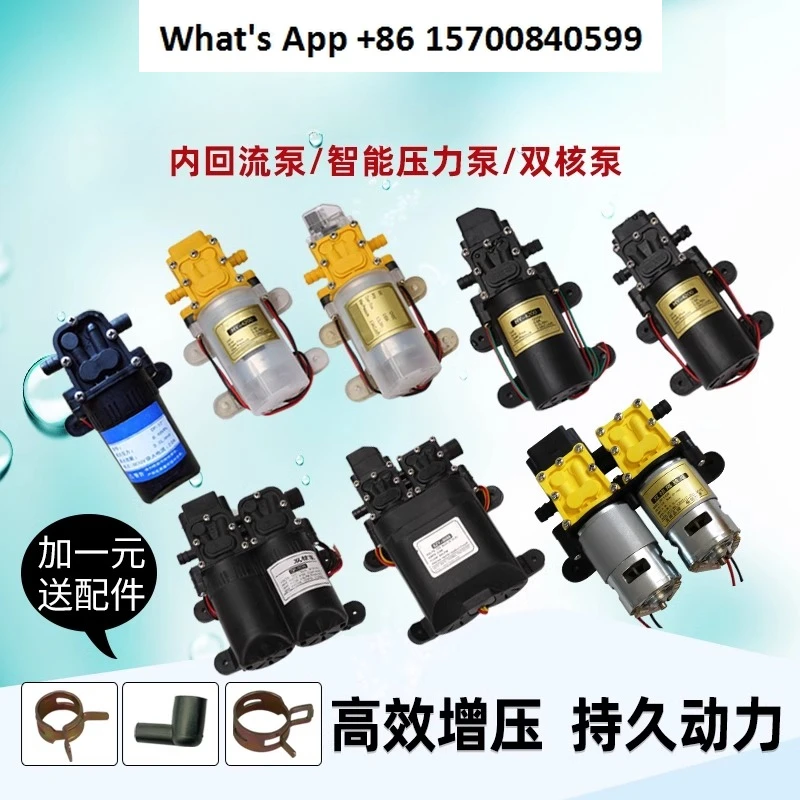 

Sprayer Electric Agricultural Portable Mist Machine Car Washing Machine High Pressure Diaphragm Pump Machine