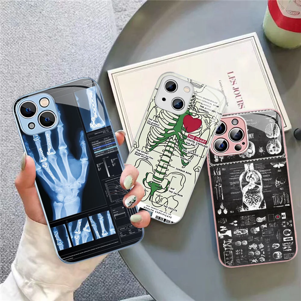 

Radiological human organs Skeleton skull Phone Case For iPhone 15 13 12 Mini 11 Pro XS Max X XR 14 Plus Tempered Glass Cover