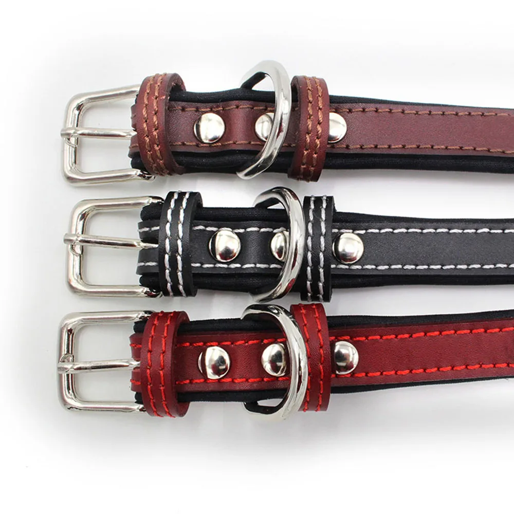 Collar para perro de neopreno acolchado con hebilla de metal_voghion.com
