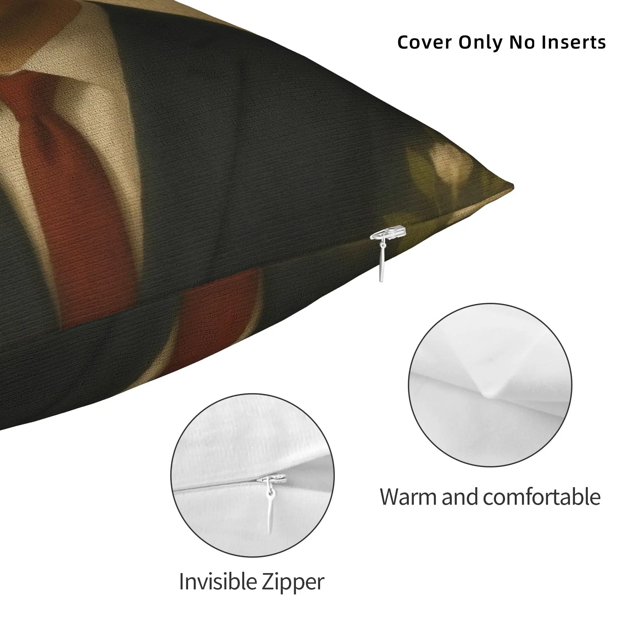 غطاء وسادة تشارلي كيرك الملائكية غطاء وسادة جرافيك مضحك كيس وسادة لمكتب سيارة ديكور المنزل سادات #3