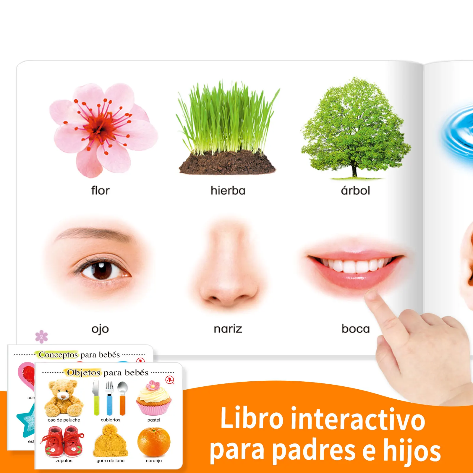 1 juego de 2 libros de alfabetización infantil española |   Años 3-6 |   Mejora cognitiva |   Magníficamente ilustrado |   Imprimación Infantil