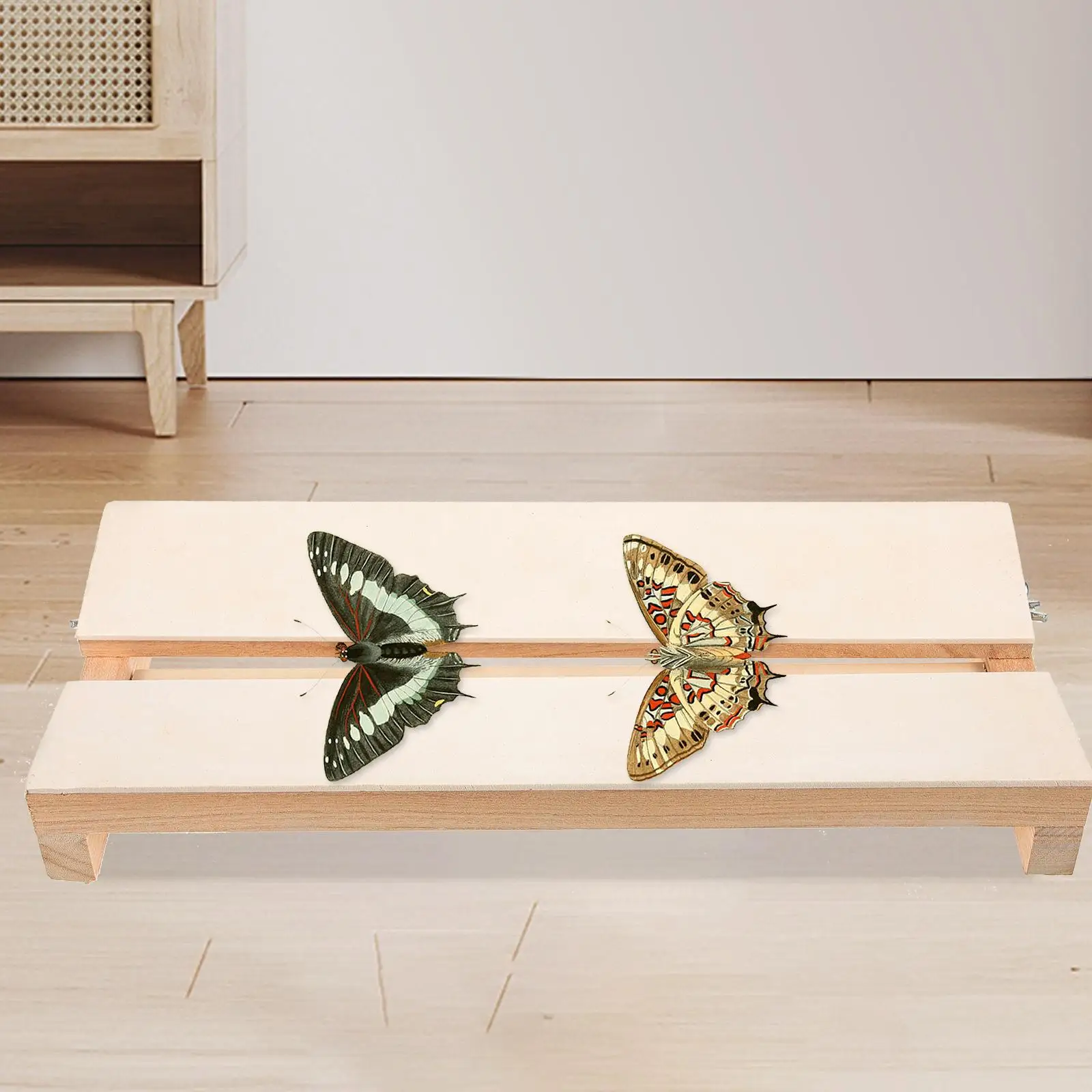 

Butterfly Wings Spreading Board Specimen Display Tool Material Perfect Workmanship Lightweight Portable Insect Pinning