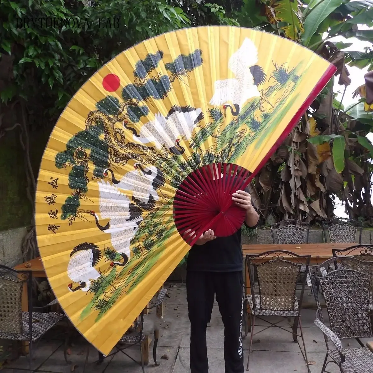 Wall Mount Silk Imitation Decorative Fan Classical Oversized Crane Longevity Decoration Fan Living Room Decorative Furnishings