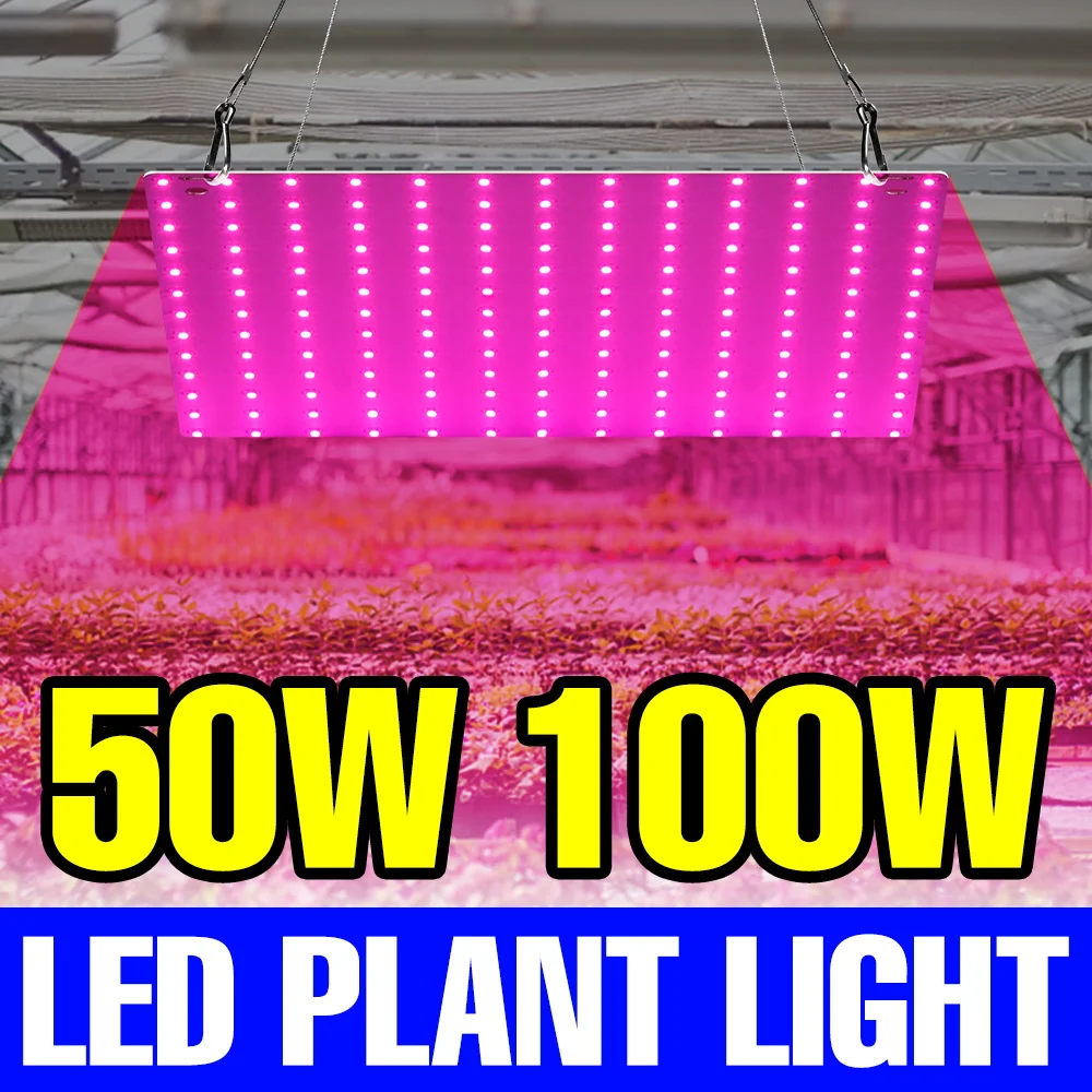 

100 Вт светодиодный светильник полного спектра для выращивания растений, квантовая доска, лампа для выращивания, вилка США/ЕС для комнатных фруктов, теплицы, палатки, кактуса, суккулента