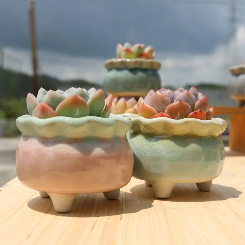 Simple Ice Cracked Succulent Plant Flowerpot Rainbow Creative Personality Breathable Lace Succulent Small Pot Pots for Plants