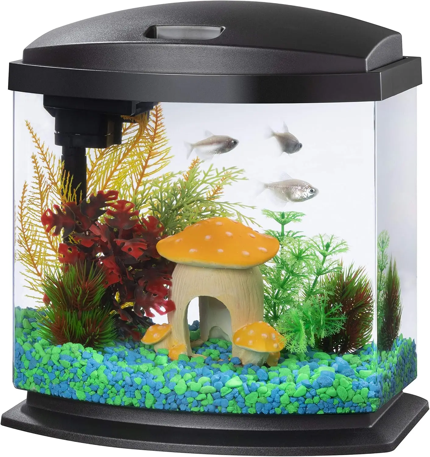 

For Home Decoration LED MiniBow Small Aquarium Fish Tank Kit with SmartClean Technology, Black, 2.5 Gallon