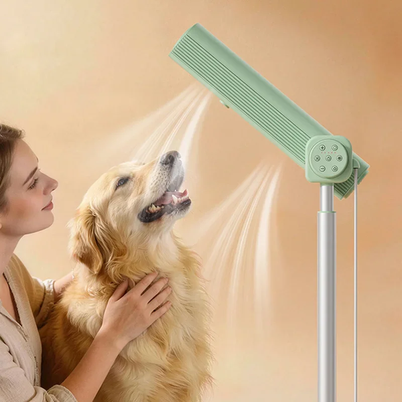 110V/220V Upright Negative Ion Hair Dryer with Dual Air Outlets—Remote-Controlled, High-Speed, Hands-Free, Floor-Standing Hair