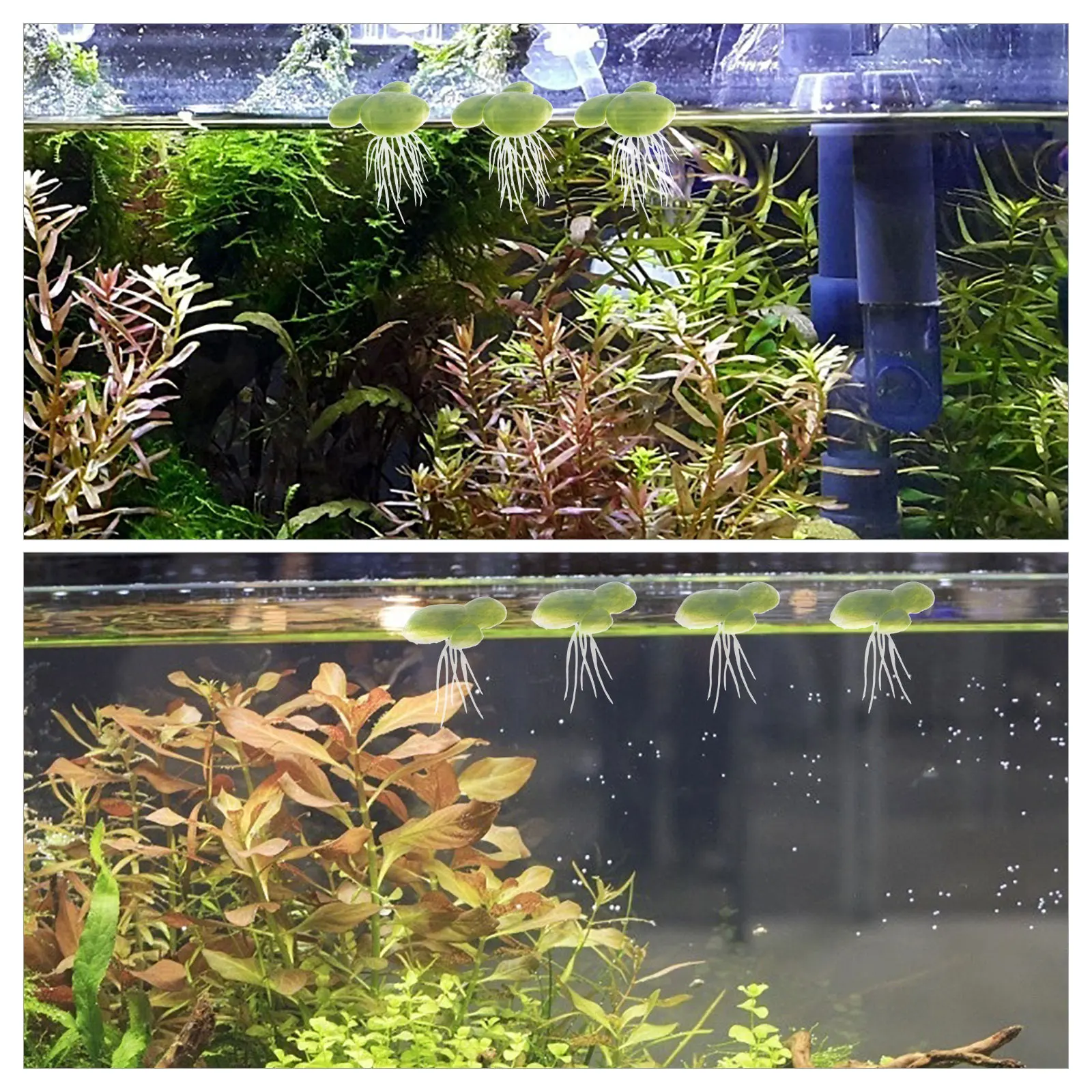 

72pcs Simulated Duckweed Mini Fake Aquarium Floating Plants Artificial Green Decor Durable Fish Tank Plant Decor Safe Plastic