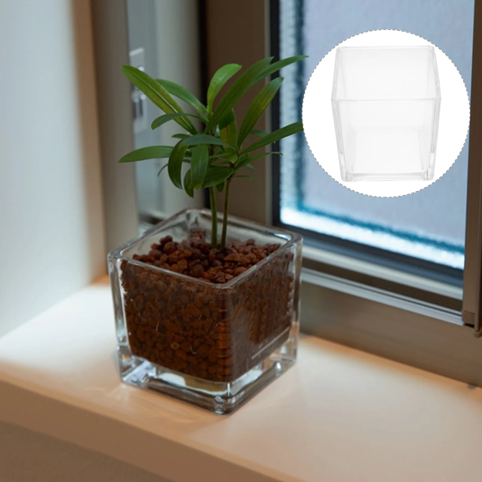 

2Pcs Clear Cube Glass Flower Vases Modern Hydroponic Planters for Home Office Table Centerpieces Decorative Small Glass Vase