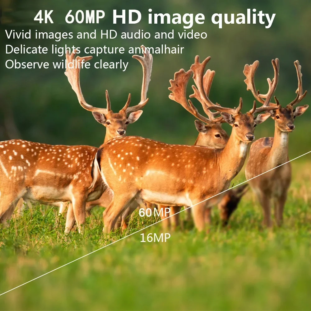 60mp Wifi Outdoor Hunting Trail Camera Pr1600 4K Wildlife Cam Track Motion Geactiveerd Infrarood Nachtzicht Waterdichte Fotoval