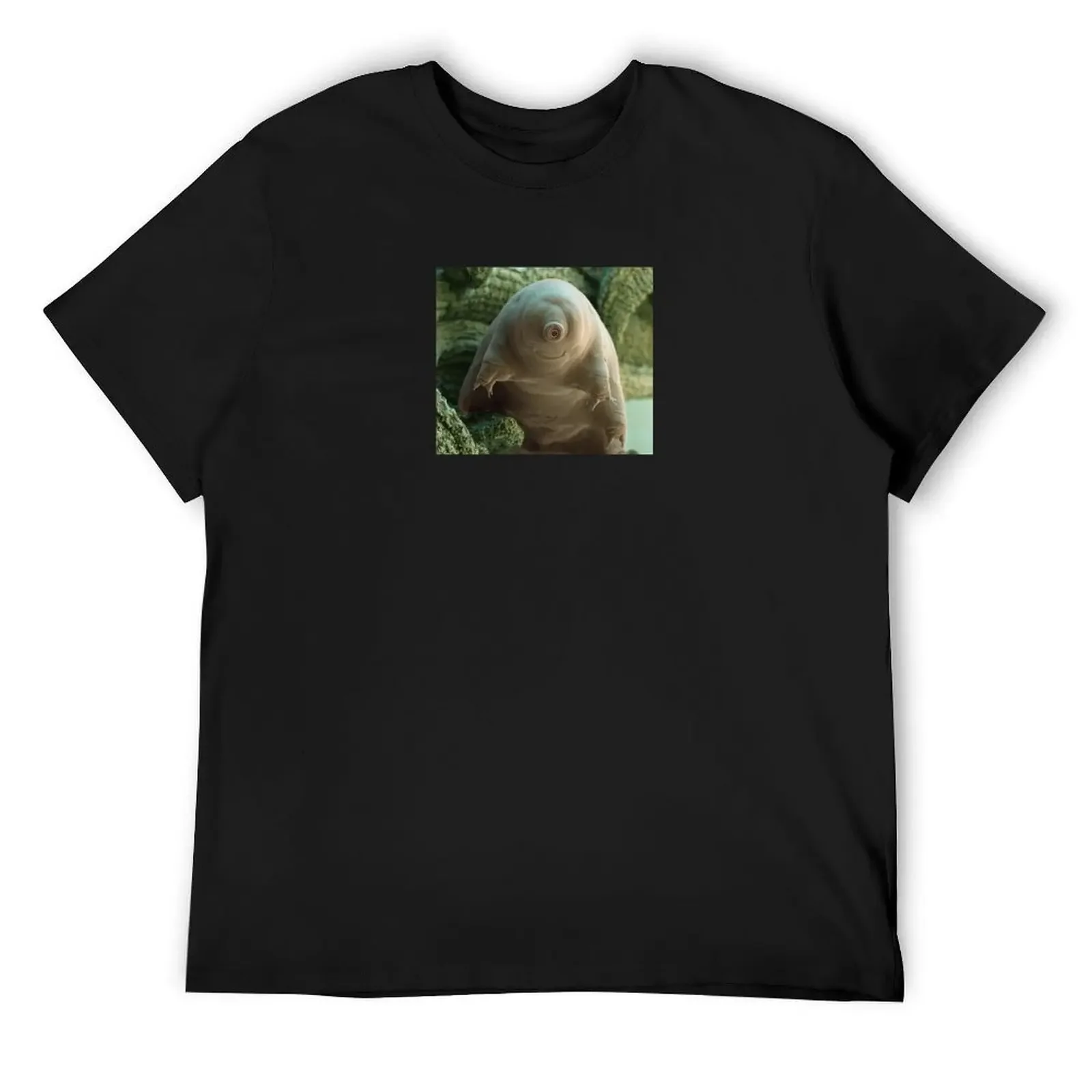 Water Bear or Tardigrade in Moss Under the Microscope T-Shirt shirts graphic cute tops t shirt men