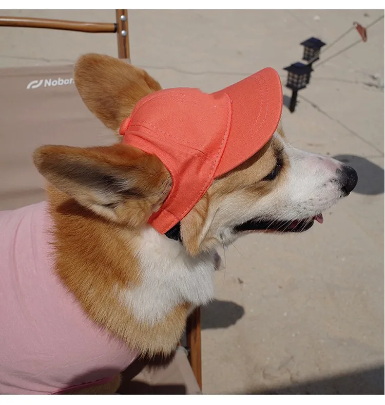 Pet Hat.