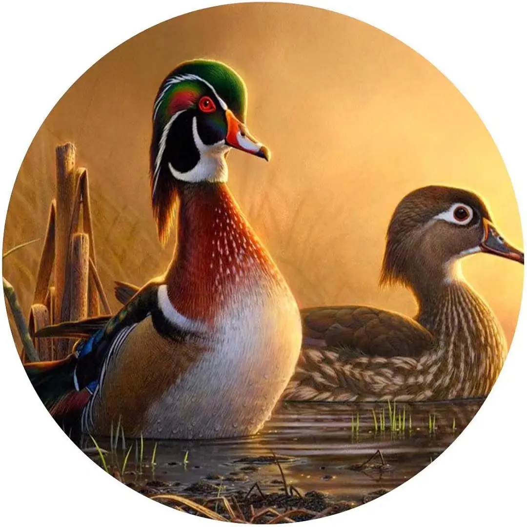 WZVZGZ 12x12inch,Metal Tin Sign Circle Round SignWaterfowl Art,Duck Art Painting,Retro Metal Round Tin Signs Decor Wall Art Post