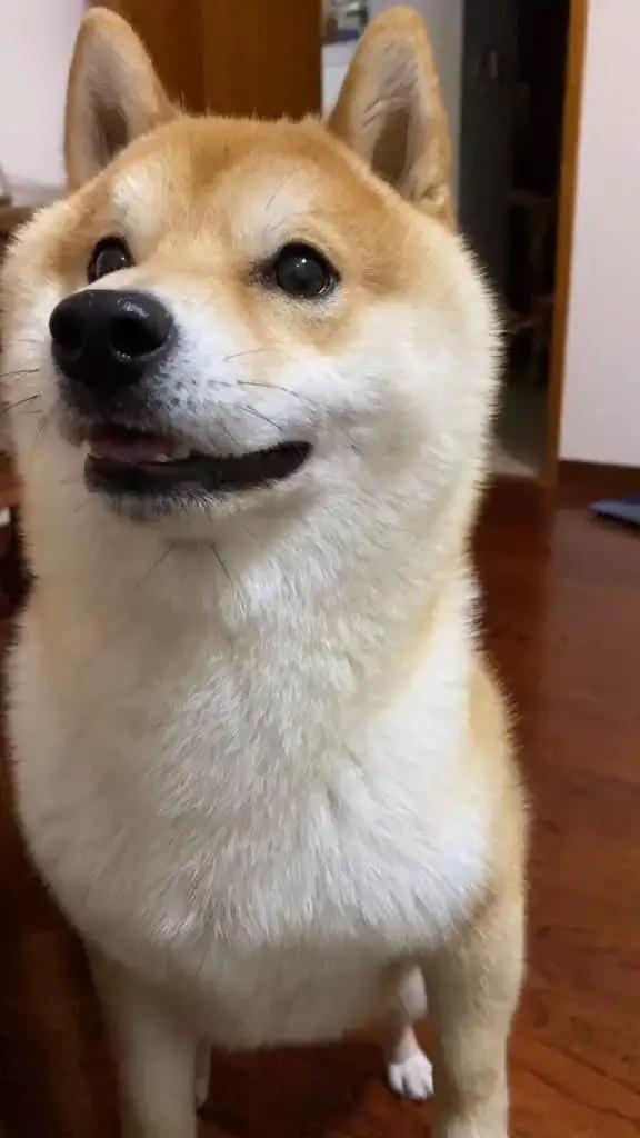 

Car Seat Gap Filler Strips Seat Storage Supplies Leak-proof Filler Strips Interior Decorate Kit Accessories For FORD Equator