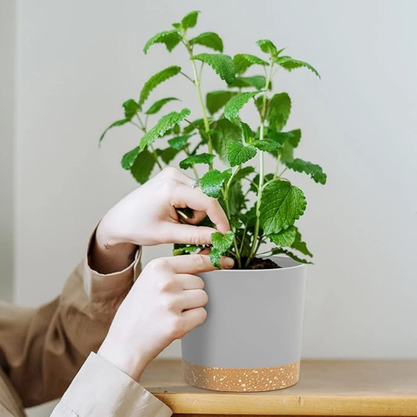 Thumbnail 4 - #26 Garden Pot Saucers & Trays Discount Picks