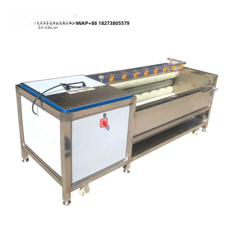 Popular Machine for the Dates Cleaning Washing Carrots Peel Onion Cassava Industry Washing Machine for Vegetables and Fruits