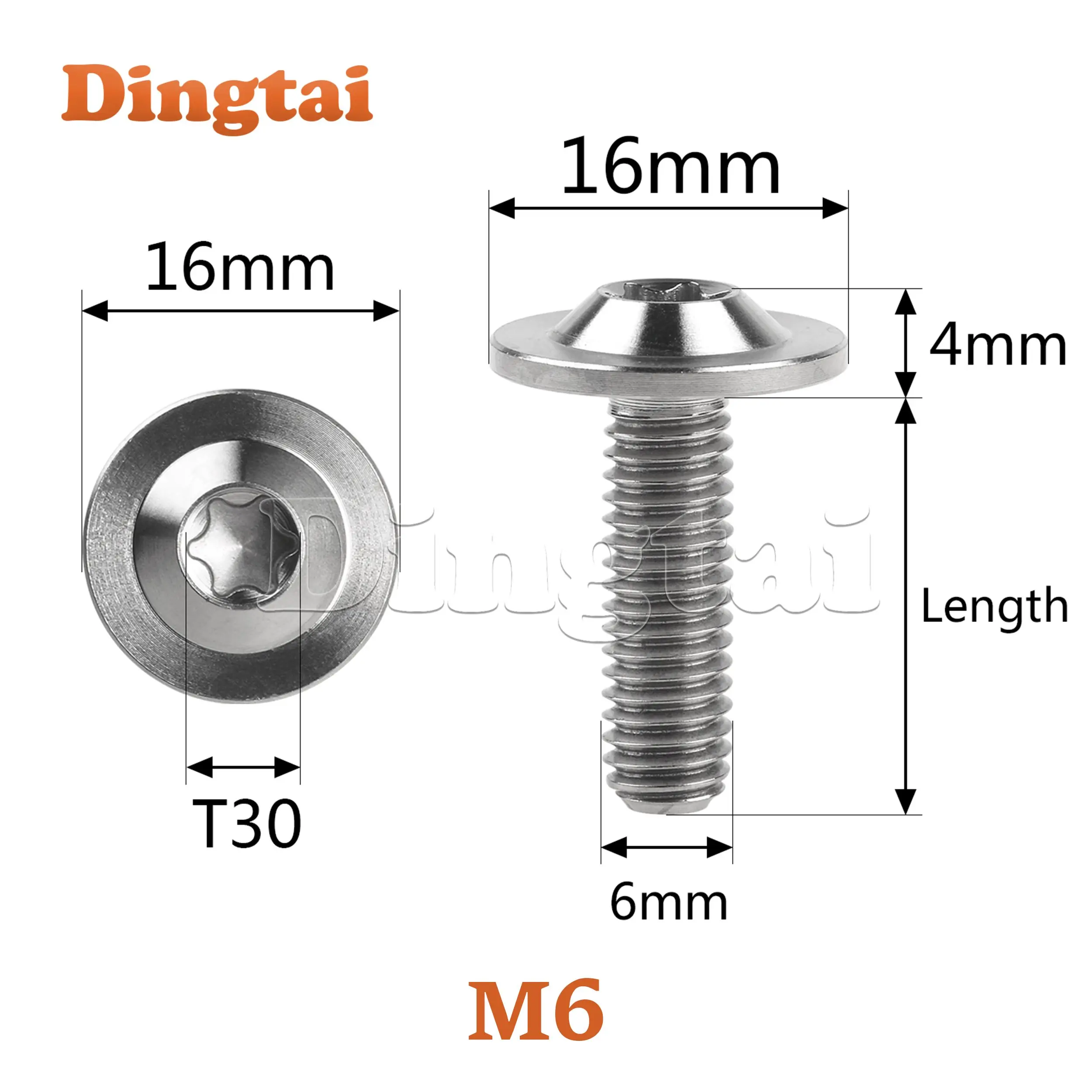 Dingtai Titanium Bolt M6x10 15 20mm Torx Head Disc Brake Rotor Screws for Bike Part