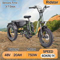 Hidoes HD-ET1 Folding Electro Tricycle 750W Motor 48V20AH Lithium Battery City Electric Trike 20*4.0 Inch Fat Tires Snow E-Trike