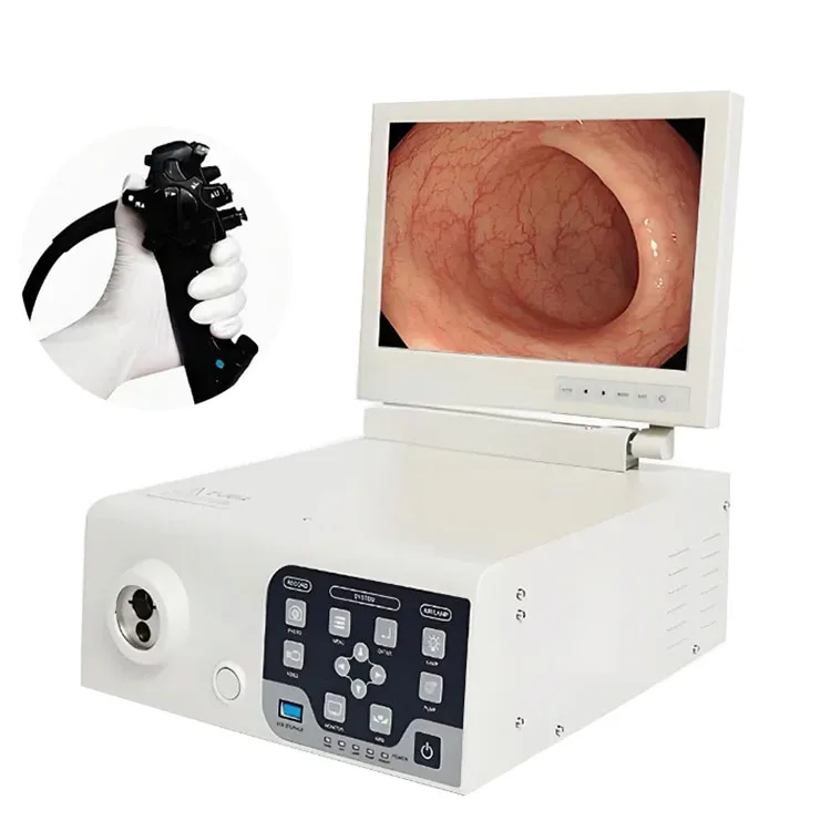 2026 New Veterinary Endoscopy Irrigation Pump Water Air Supply System For GI Check
