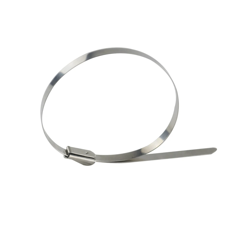 LZONE - 200mm x 12 " / 300mm x 12" cabezal de acero inoxidable envoltura de escape auto bloqueo Cable cierre correas 100 piezas JR-SLS02/03