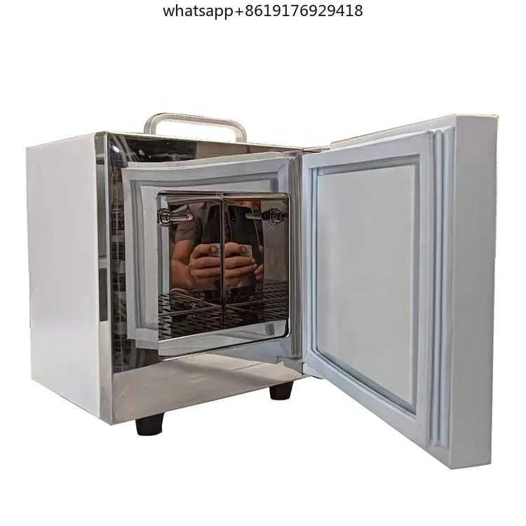 Labor 2L Mini-Thermostat, natürliche Konvektion, tragbarer bakteriologischer Inkubator mit intelligentem PID