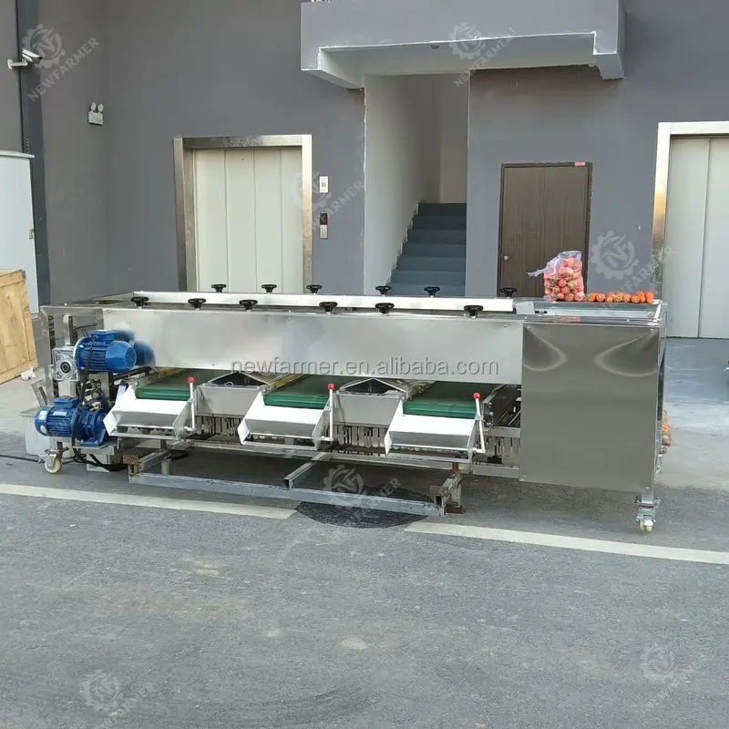Factory Supply Tomato Size Sorting Roller Grading Machine Roller Fruit Sorting Grading Machine