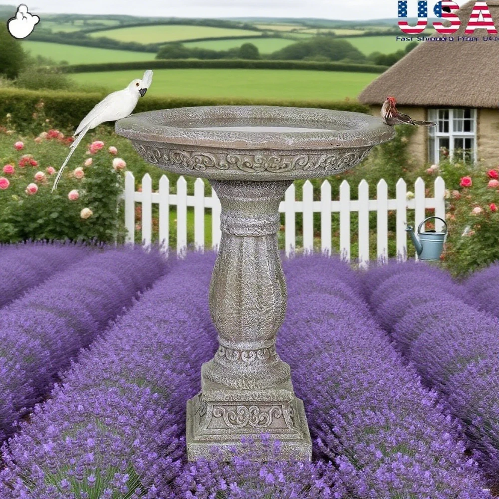 

20 Inch Diameter with Pedestal Modern Garden Decor Durable Concrete Bird Spa and Feeder Backyard Wildlife Outdoor Birdbath
