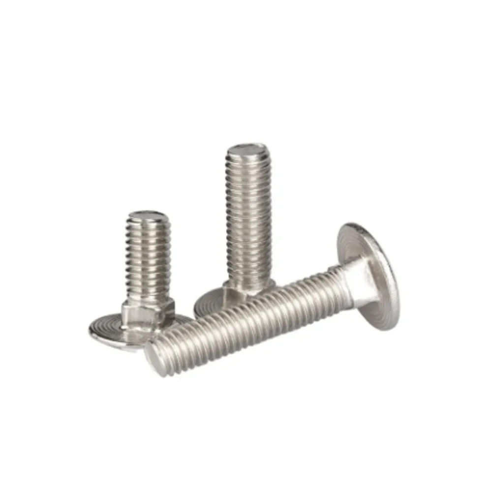 304 Stainless Steel Carriage Bolt, Round Square Neck Screw, Shelf Screw, Carriage ScrewM6M8M10M12