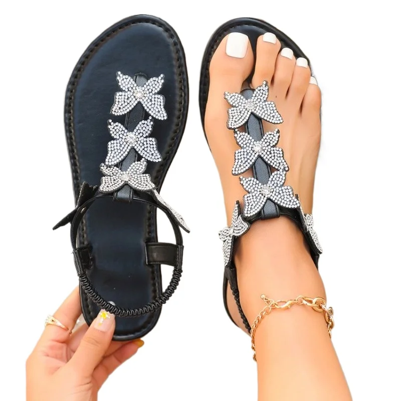 New Butterfly Rhine…