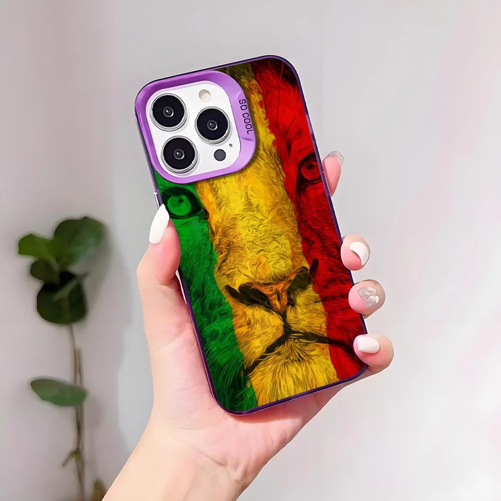 Sänger Bob Marley Handyhülle für IPhone 17 16 15 14 13 12 11 Pro Max Plus Mini IMD Farbe Silber Shell