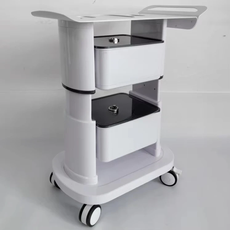 Newest High Quality Beauty Salon Multi-Function Double Drawer Salon Cart Mobile Beauty Instrument Cart