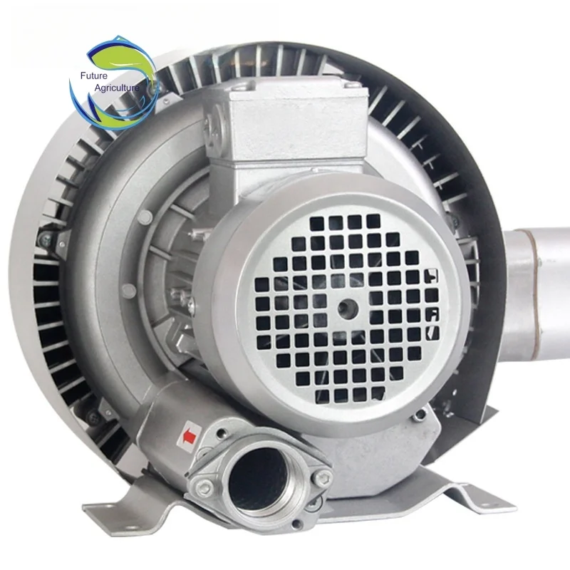 Koi Fish Farming Pond Oxygen Nano Bubble Generator Aerators Bubbler Oxygenators for Aquaculture