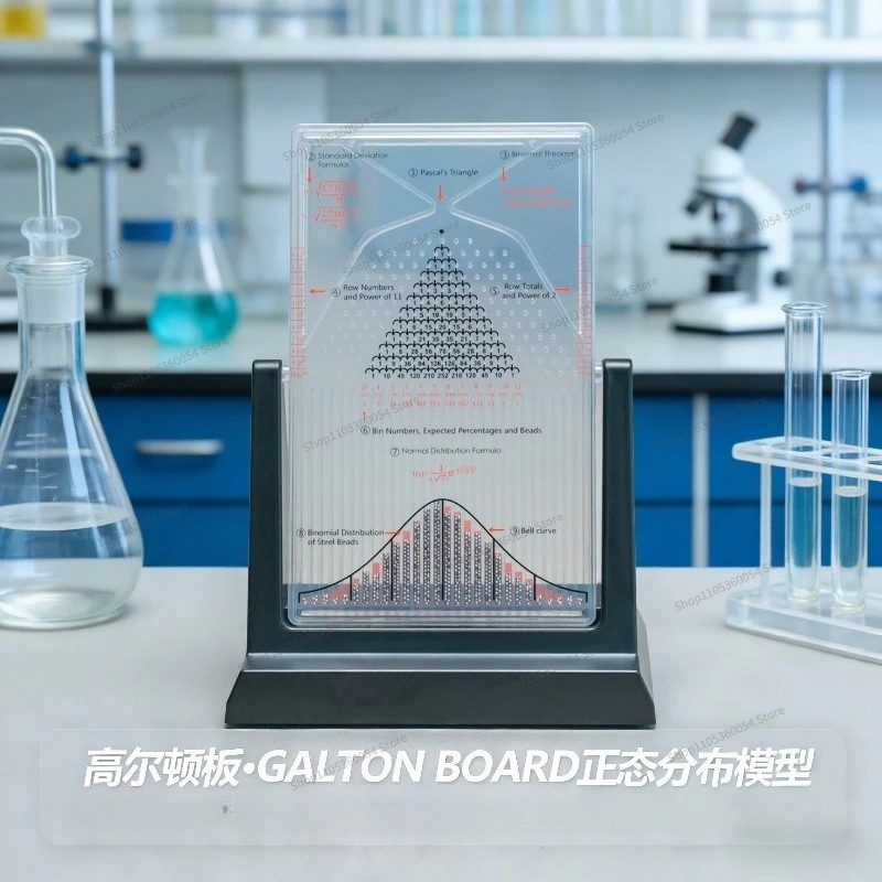 For Model Ornament Math Teaching Aid GaltonBoard Normally Distributed Model Toy