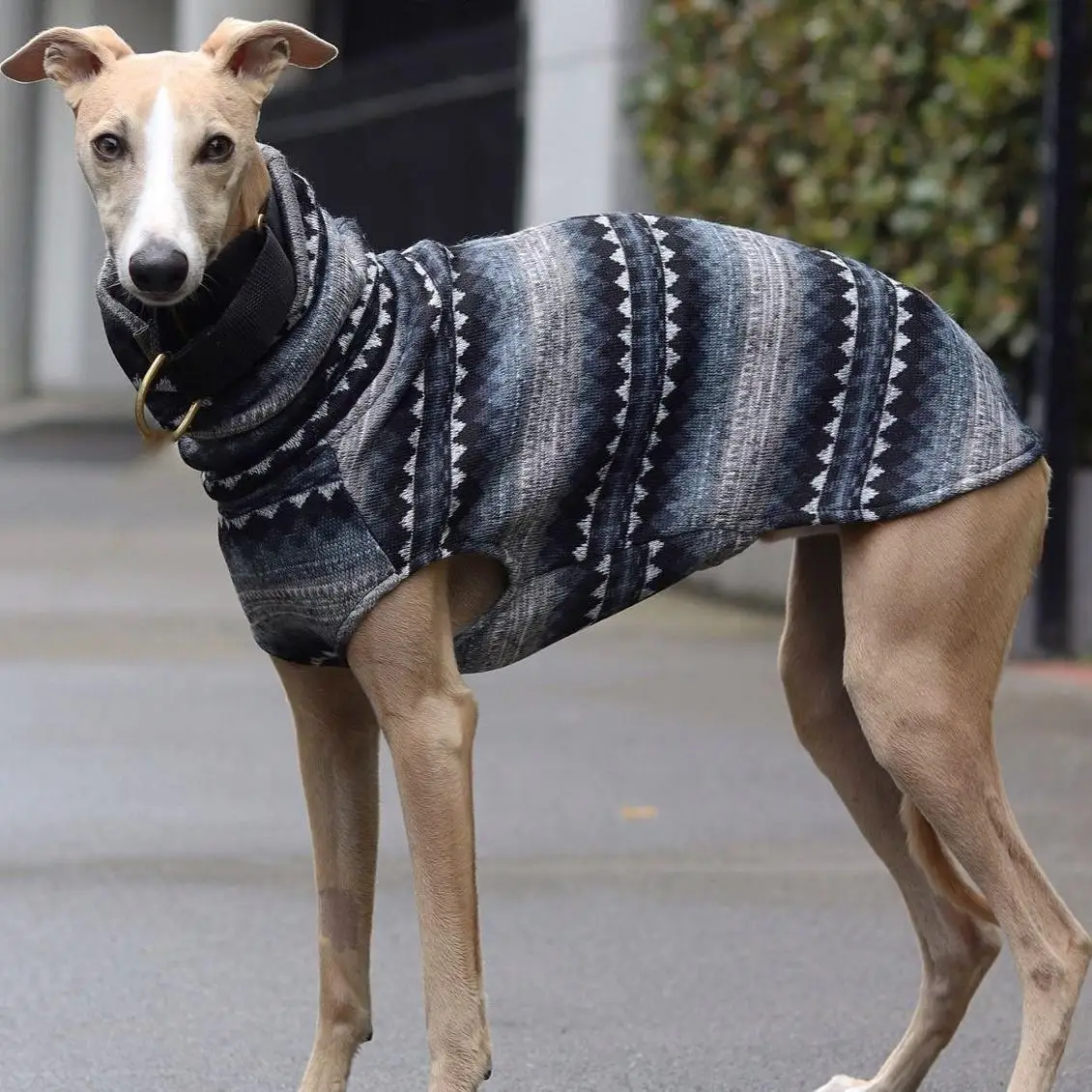 Winter Fleece Turtleneck Whippet Vest Italian Greyhound Bohemia Style Clothes Dog Coat Soft Stretch Bedlington Clothes