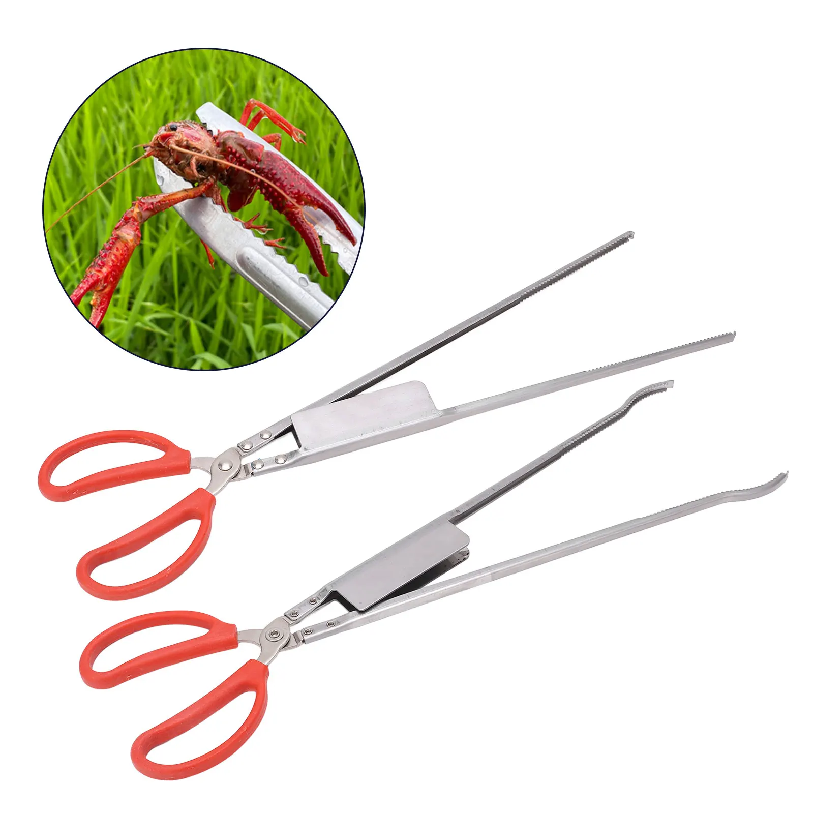 pinca-para-peixes-com-cabos-de-plastico-pequena-e-leve-51cm-de-comprimento-design-com-ponta-ranhurada-pinca-de-aco-inoxidavel-para-caranguejos-ideal-para-pesca-e-atividades-ao-ar-livre
