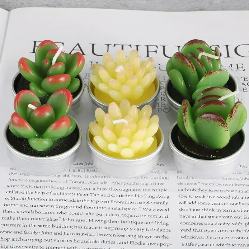 6 Creative Scented Candles in Sets Mini Cactus Meaty Birthday Candle Personalized Instagram Style Smokeless Hand Gift Candle