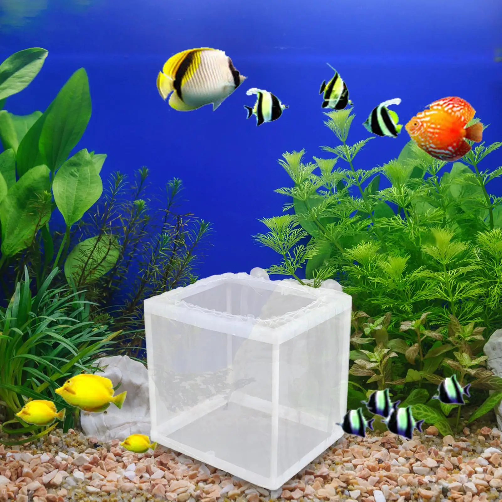 Fish Breeder Box Aquarium Hatcher Incubator Mesh Box Juvenile Fish Separation Net with Suction Cups Fish Fry Hatchery