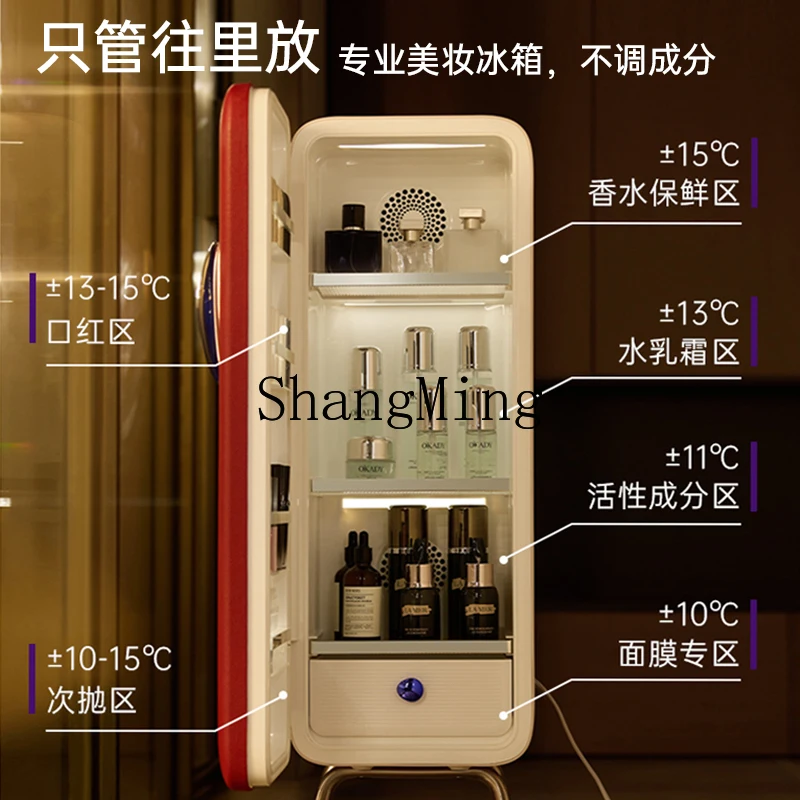 LXY Beauty Refrigerator Professional Storage Fresh Mask Cosmetic Skin Care Products Small Refrigerator