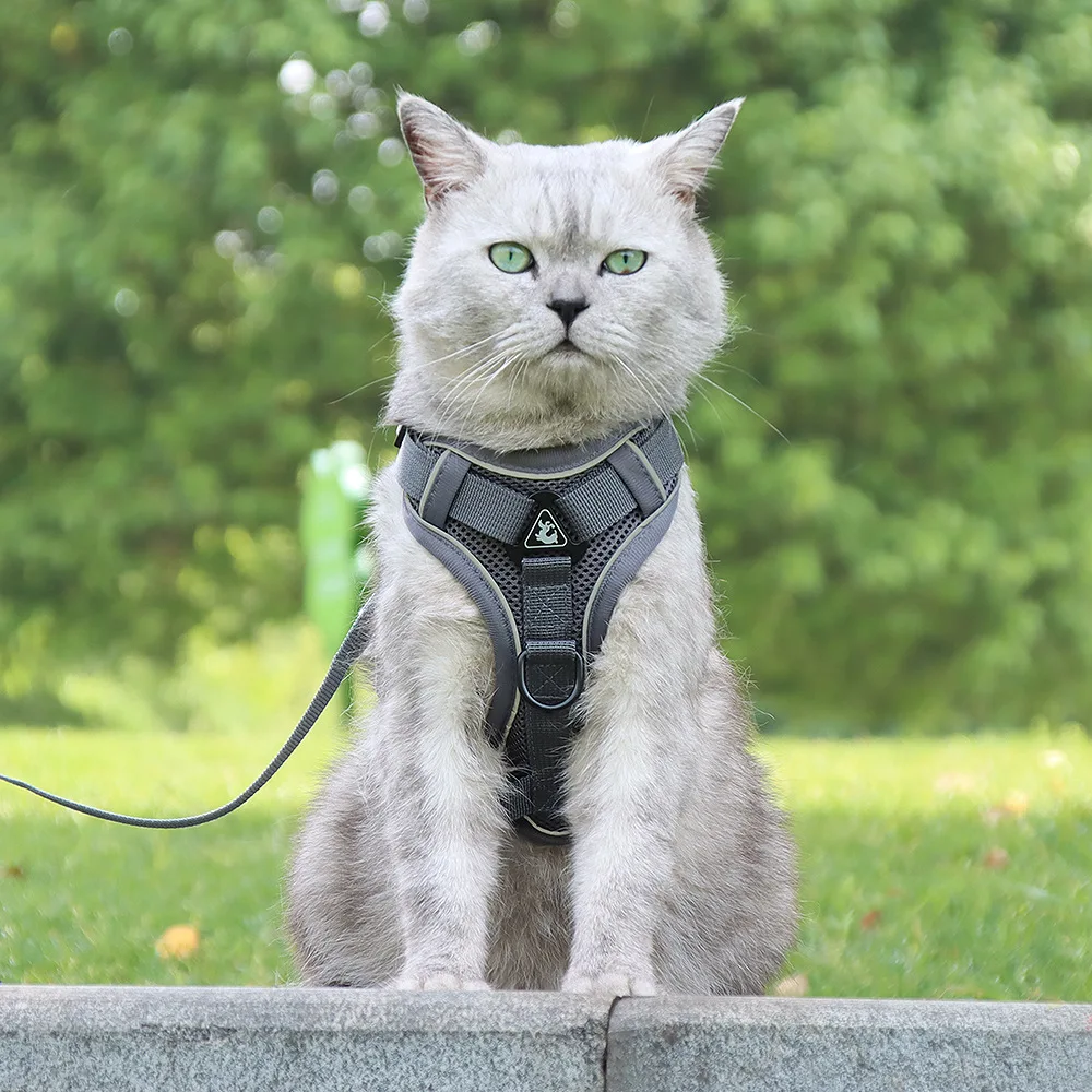 

Pet Supplies Pet Traction Rope Vest Type Chest Belt Reflective Breathable Walking Cat Rope Walking Dog Rope Pet Accessories