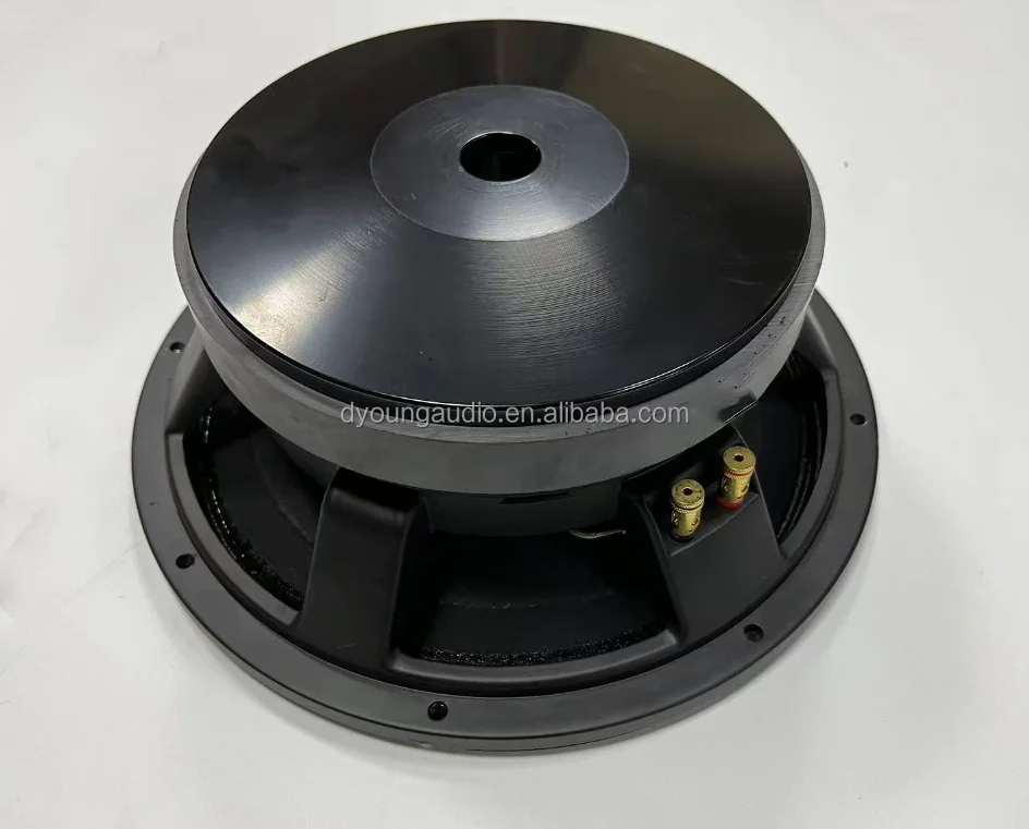 ​ ​ 12" professionele mid-bass-luidspreker - 220 mm magneet en 100 mm spreekspoelwoofer (1000 W RMS, krachtig PA-systeem, toerwaarde kast