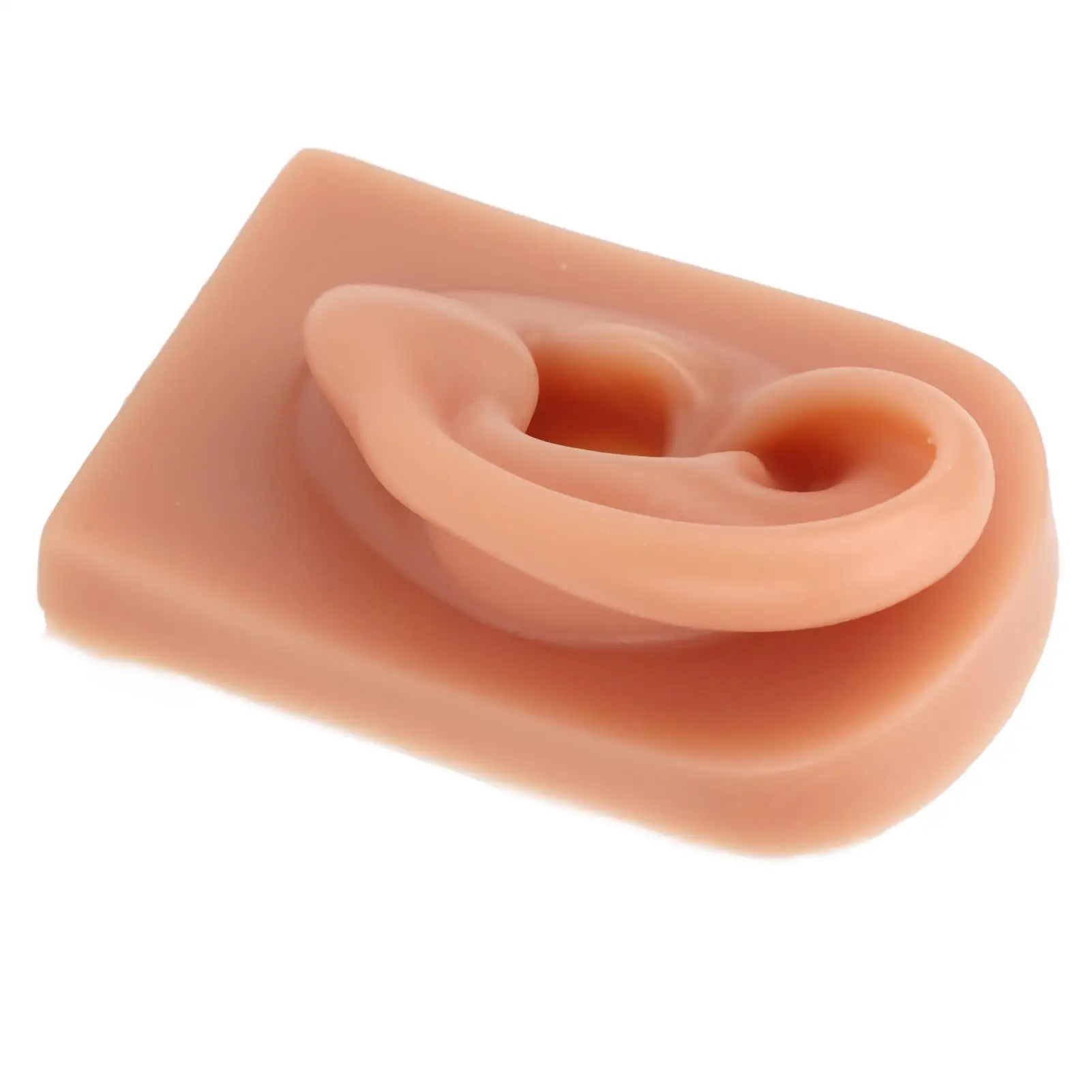 نموذج أذن سيليكون مرن ثلاثي الأبعاد لمتجر المجوهرات، أداة ممارسة الأذن الناعمة القابلة لإعادة الاستخدام للمبتدئين