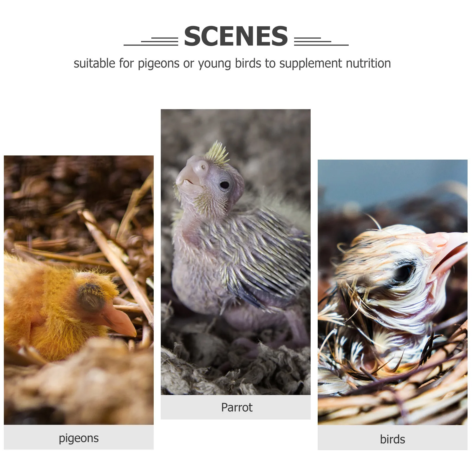 

Portable Pigeon Weaner with Ergonomic Design Liquid Nursing Dropper for Bird Safe Feeding Reusable Weaning Feeder for Young