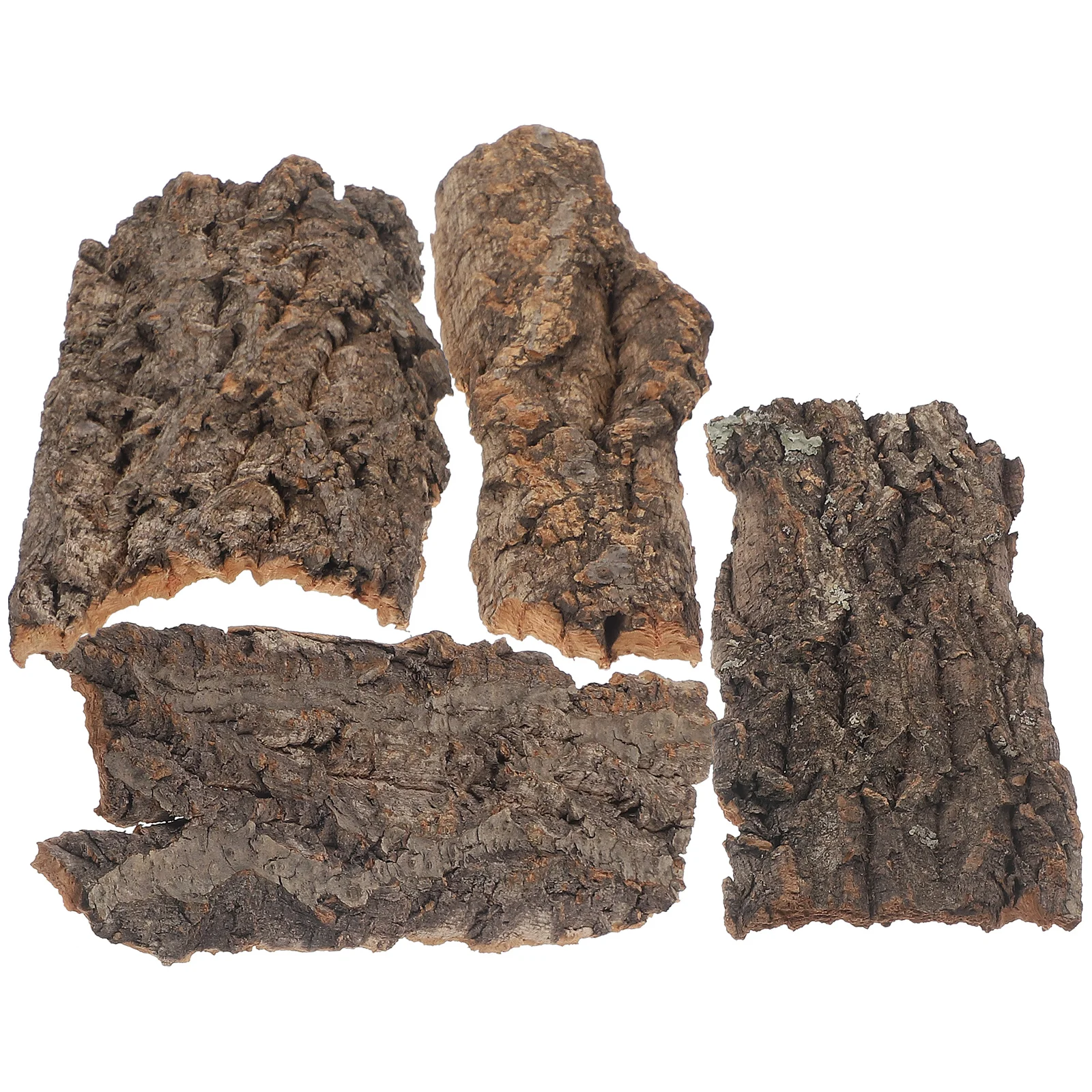 Reptile Feeding Ledge Climbing Platform Decoration Lizard Tank Bark Terrarium Accessories