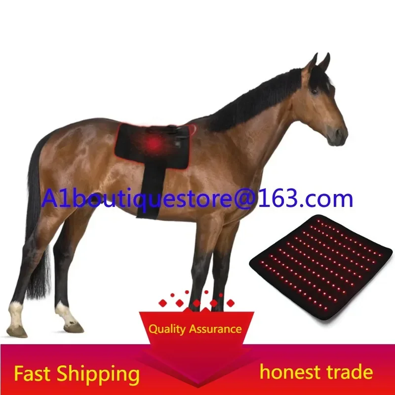 Red light physiotherapy horse pet 660nm 850nm equine pain relief infrared light physiotherapy pad