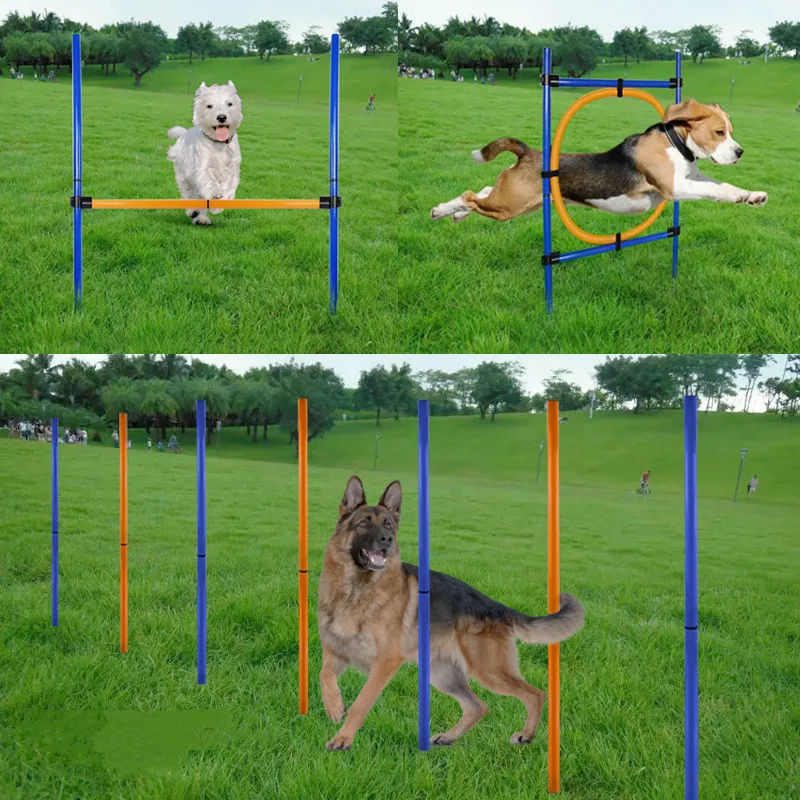 

Dog Agility Training Equipment Outdoor Portable Dog Obstacle Training Set Dogs Jumping Running Stake Sports Stakes Pole Supplies