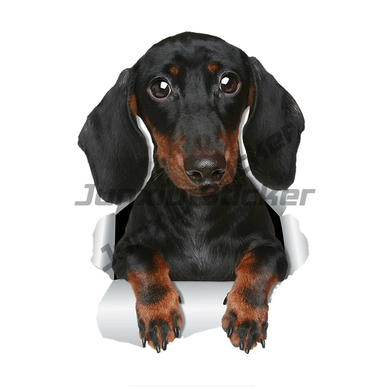 

Cute Dachshund Sausage Dog Car Sticker Automobiles Motorcycles Exterior Accessories Vinyl Decals